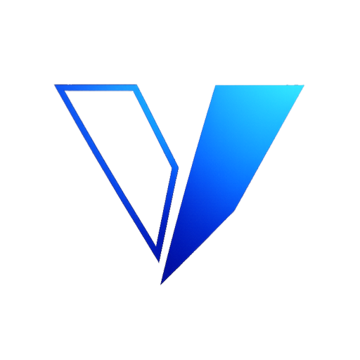 Vizer